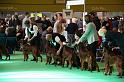 Crufts2010 1323